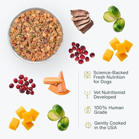 طعام الكلاب الطازج المجمد من JustFoodForDogs، وجبة كاملة أو طعام للكلاب، معكرونة من الديك الرومي والقمح الكامل، 72 أونصة (عبوة من 7 قطع) in Kuwait