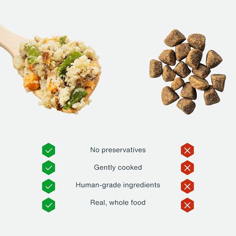 طعام الكلاب الطازج المجمد من JustFoodForDogs، وجبة كاملة أو طعام للكلاب، معكرونة من الديك الرومي والقمح الكامل، 72 أونصة (عبوة من 7 قطع) in Kuwait
