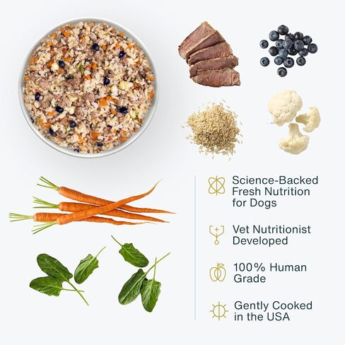 طعام الكلاب الطازج المجمد من JustFoodForDogs، وجبة كاملة أو طعام للكلاب، معكرونة من الديك الرومي والقمح الكامل، 72 أونصة (عبوة من 7 قطع) in Kuwait