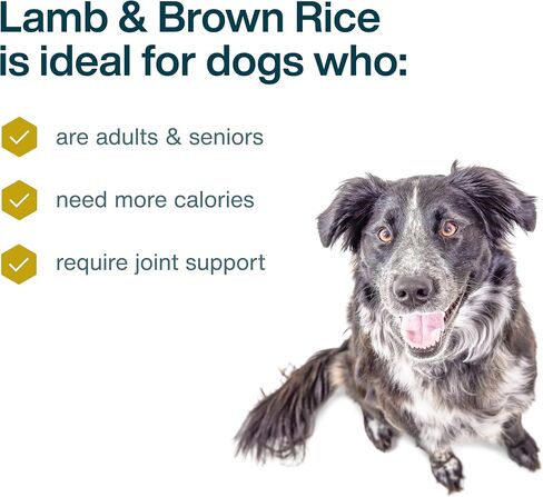 طعام الكلاب الطازج المجمد من JustFoodForDogs، وجبة كاملة أو طعام للكلاب، معكرونة من الديك الرومي والقمح الكامل، 72 أونصة (عبوة من 7 قطع) in Kuwait