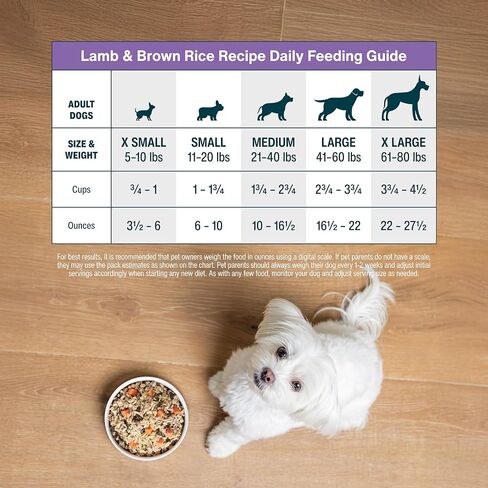 طعام الكلاب الطازج المجمد من JustFoodForDogs، وجبة كاملة أو طعام للكلاب، معكرونة من الديك الرومي والقمح الكامل، 72 أونصة (عبوة من 7 قطع) in Kuwait
