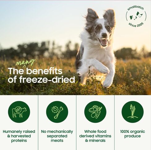 Smallbatch Pets Freeze-Dried Premium Raw Food Diet for Dogs, Beef Recipe, 14 oz, Made in The USA, Organic Produce, Humanely Raised Meat, Hydrate and Serve Patties, Single Source Protein, Healthy in Saudi Arabia