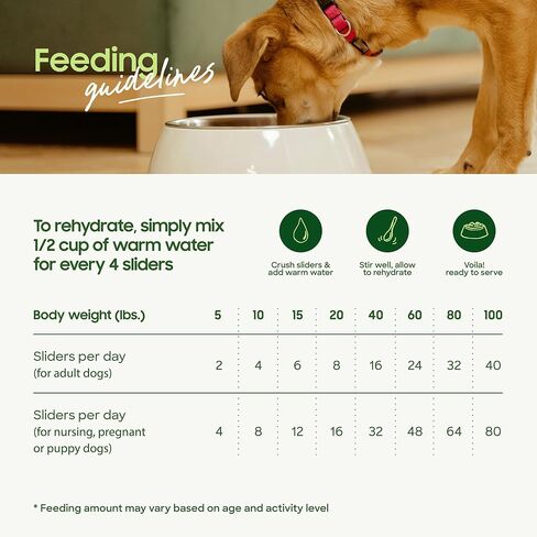 Smallbatch Pets Freeze-Dried Premium Raw Food Diet for Dogs, Beef Recipe, 14 oz, Made in The USA, Organic Produce, Humanely Raised Meat, Hydrate and Serve Patties, Single Source Protein, Healthy in Saudi Arabia