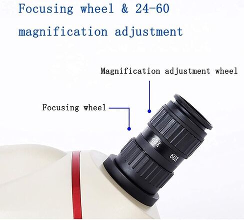 2021 Updated Telescope for Kids and Beginners 80Mm Travel Refractor Telescope for Astronomy for Moon Viewing Bird Watching Sightseeing in Saudi Arabia