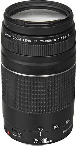 Canon EOS R6 Mark II Mirrorless Camera with 24-50mm & 75-300mm Lens Bundle + Premium Package Including 128GB Extreme Memory, Microphone, LED Light, Photo-Video Software & More (39 Pieces) (Renewed) in Saudi Arabia