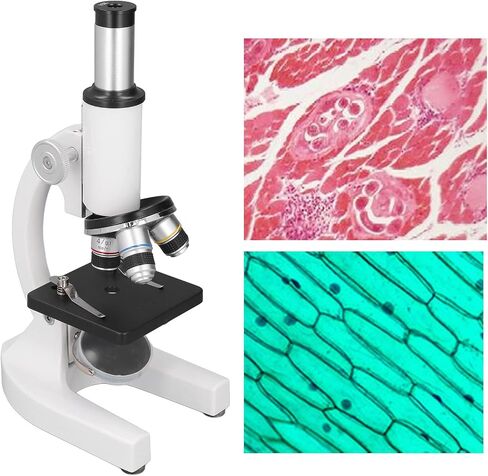 Monocular Optical Microscope 640x Biological High Definition in Saudi Arabia