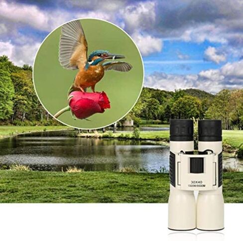 Portable Monocular Telescope,30X40 Professional Binoculars for Adults, Waterproof Fogproof, Bak4 Roof Prism, FMC Optics for Outdoor Hiking Traveling in Saudi Arabia