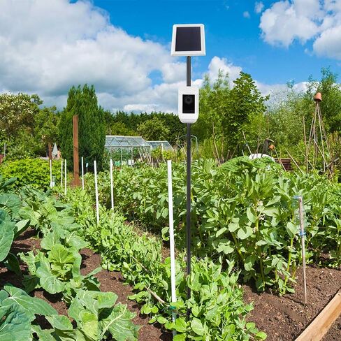 حصة Universal Ground Mount Bracket للكاميرات الأمنية في الهواء الطلق وألواح الطاقة الشمسية ، متوافقة مع الحلقة ، وميض ، Eufy ، Google Nest ، Arlo ، Wyze ، Simplisafe ، 1/4 كاميرات لولبية (أسود) in Kuwait