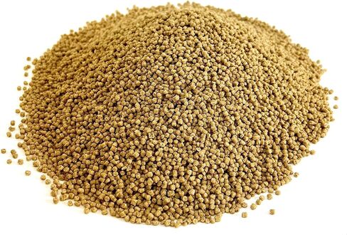 Harrison's Bird Foods High Potency Pepper 1lb Certified Organic Formula in Saudi Arabia