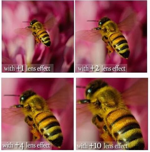 مجموعة العدسات الماكرو 62mm 4pc +1 +2 +4 +10 عدسة عن قرب ل Panasonic Lumix S9 DC-S9 in Kuwait