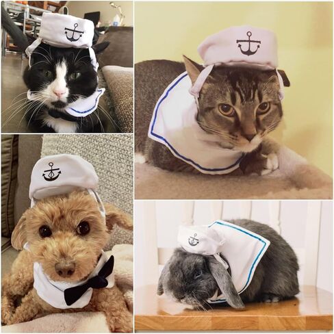 Namsan Holiday Pet Costume Cat Birthday Hat Small Dog Birthday Cake Hat Dog Birthday Party Supplies, Small in Saudi Arabia