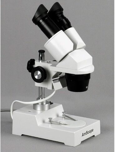 يتضمن مجهر ستيريو مجهر رقمي AMSCOPE SE303-P-E ، وتكبير 10x و 30x ، وأهداف 1x و 3x ، وإضاءة التنغستن ، ولوحة المسرح الأسود/الأبيض القابل للانعكاس ، وحامل العمود ، 110 فولت ، كاميرا وبرامج 0.3 ميجابكسل 0.3 ميجابكسل in Saudi Arabia
