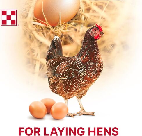 Purina Layena+ | Nutritionally Complete Layer Hen Feed | Omega 3 Formula - 10 Pound (10 lb) Bag in Saudi Arabia
