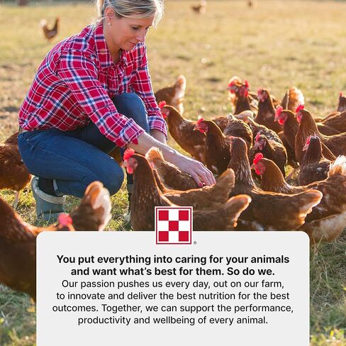 Purina Layena+ | Nutritionally Complete Layer Hen Feed | Omega 3 Formula - 10 Pound (10 lb) Bag in Saudi Arabia