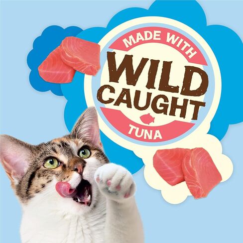 Purina Friskies Natural Cat Treats, Party Mix Natural Yums With Wild Tuna - (10) 2.1 oz. Pouches in Saudi Arabia