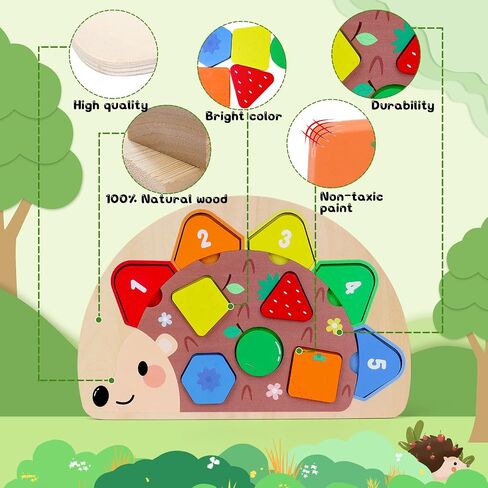 Montessori Wooden Hedgehog Puzzle Toy for 1 2 3 Year Old Boys Girls: Educational Color Sorting Shape Matching Learning Gift Toddler Travel Toys Sensory Board in Saudi Arabia