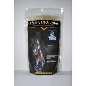 Equine Electrolytes Celtic SEA Salt (1 lb)