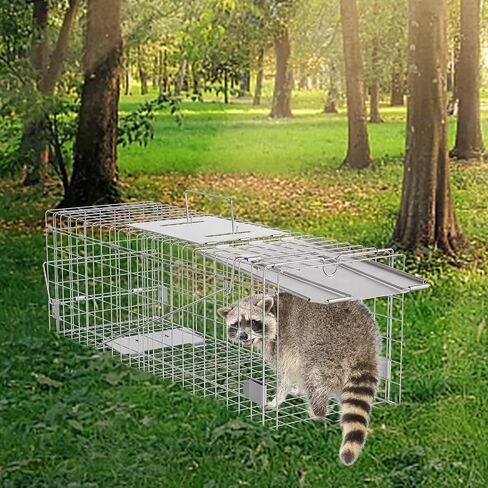 VEVOR Live Animal Cage Trap, 50" x 20" x 26" Humane Cat Trap Galvanized Iron, Folding Animal Trap with Handle for Stray Dogs, Armadillos, Raccoons, Marmots, Foxes in Saudi Arabia
