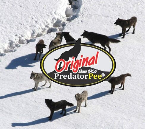 PredatorPee 100% Coyote Urine - Territorial Marking Scent in Saudi Arabia
