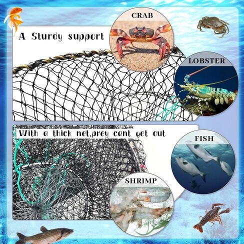 4 عبوات من مصيدة طعم الصيد، مصيدة جراد البحر، مصائد صيد قابلة للطي مع حبل بطول 260 قدم، مصيدة سرطان البحر، مصيدة أسماك لجراد البحر، جراد البحر، الروبيان، ملحقات صيد قابلة للطي in Kuwait