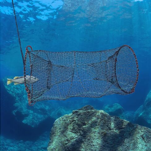 4 عبوات من مصيدة طعم الصيد، مصيدة جراد البحر، مصائد صيد قابلة للطي مع حبل بطول 260 قدم، مصيدة سرطان البحر، مصيدة أسماك لجراد البحر، جراد البحر، الروبيان، ملحقات صيد قابلة للطي in Kuwait