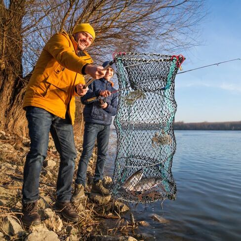 4 عبوات من مصيدة طعم الصيد، مصيدة جراد البحر، مصائد صيد قابلة للطي مع حبل بطول 260 قدم، مصيدة سرطان البحر، مصيدة أسماك لجراد البحر، جراد البحر، الروبيان، ملحقات صيد قابلة للطي in Kuwait