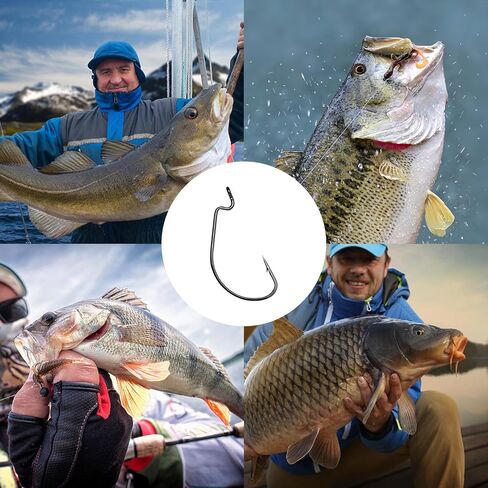 UCEC Fishing Hooks, 140PCS/ 100PCS/ 60PCS EWG Offset Worm Hooks Bass Hooks Wide Gap 2X Strong Senko Bait Texas Rig Jig Fish Hooks for Bass Trout Saltwater Freshwater Size:#4#2#1 1/0 2/0 3/0 4/0 5/0 in Saudi Arabia