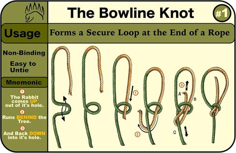 Knot Tying Kit | Camping & Outdoor Knots Edition - by The Bear Essentials Outdoors with Waterproof Knot Cards | for Survival, Camping, Backpacking, Hiking & Scouts in Kuwait