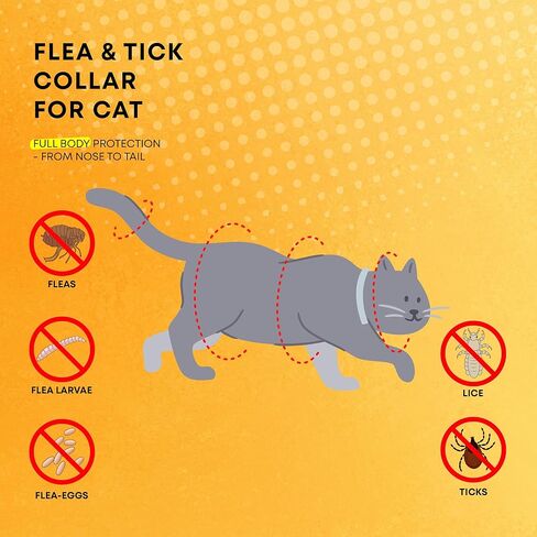 Cat Flea Tick Prevention Collar: Flea Collar for Cats Fleas Repellent Collars - Tick Prevention Collars for Cats Ticks Control for Kitten - 4 Pack 24 Month Protection in Kuwait