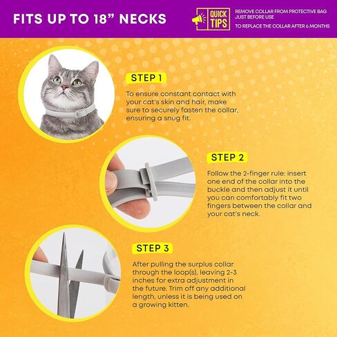 Cat Flea Tick Prevention Collar: Flea Collar for Cats Fleas Repellent Collars - Tick Prevention Collars for Cats Ticks Control for Kitten - 4 Pack 24 Month Protection in Kuwait