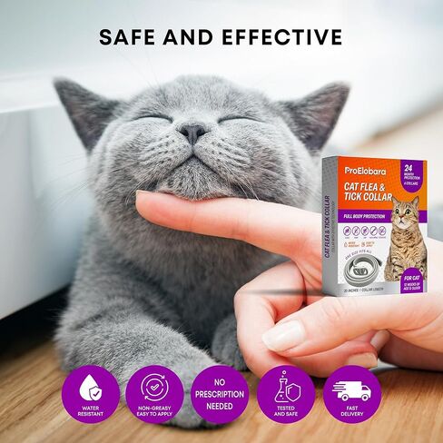Cat Flea Tick Prevention Collar: Flea Collar for Cats Fleas Repellent Collars - Tick Prevention Collars for Cats Ticks Control for Kitten - 4 Pack 24 Month Protection in Kuwait