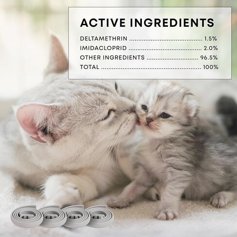 Cat Flea Tick Prevention Collar: Flea Collar for Cats Fleas Repellent Collars - Tick Prevention Collars for Cats Ticks Control for Kitten - 4 Pack 24 Month Protection in Kuwait