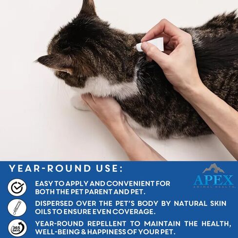 Apex Plus Flea Treatment for Cats, 1.5+ lbs — Cat Flea, Tick, Flea Eggs, Flea Larvae, and Chewing Lice Prevention for 30-Days — 3-Month Supply in Saudi Arabia