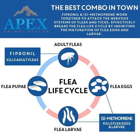 Apex Plus Flea Treatment for Cats, 1.5+ lbs | 6-Month Supply | Cat Flea and Tick Treatment Drops | 24-Hour Activation, Waterproof, 30-Day Protection in Saudi Arabia