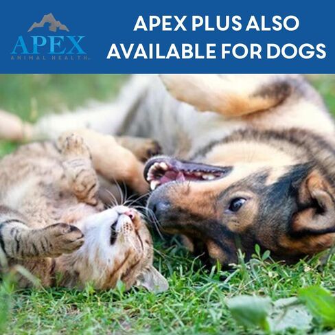 Apex Plus Flea Treatment for Cats, 1.5+ lbs | 6-Month Supply | Cat Flea and Tick Treatment Drops | 24-Hour Activation, Waterproof, 30-Day Protection in Saudi Arabia