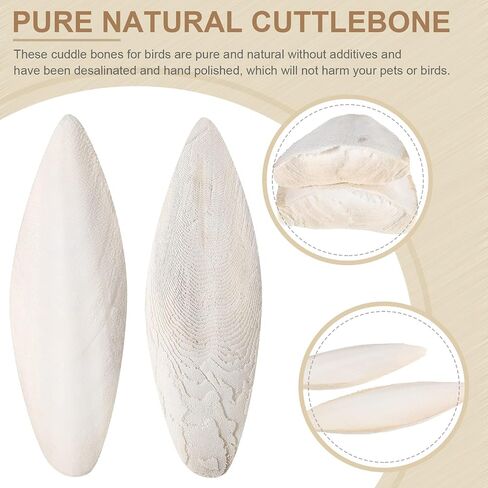Fabbay 80 Pcs 3.54-4.33 Cuttlebone for Birds Cuttlefish Bone Bulk Parakeets Canaries Mynah Natural Cuttlebone for Reptile Tortoise Turtles Lovebirds Toucans Reptiles Snails in Saudi Arabia