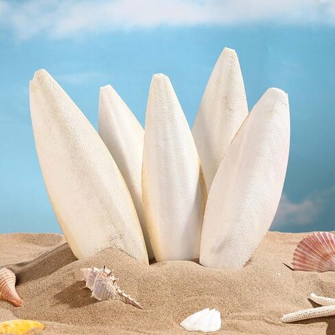Fabbay 80 Pcs 3.54-4.33 Cuttlebone for Birds Cuttlefish Bone Bulk Parakeets Canaries Mynah Natural Cuttlebone for Reptile Tortoise Turtles Lovebirds Toucans Reptiles Snails in Saudi Arabia
