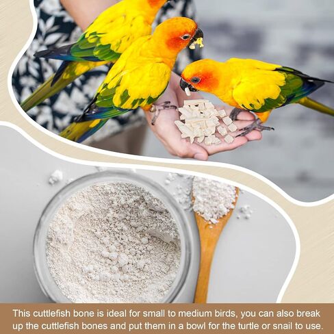 Fabbay 80 Pcs 3.54-4.33 Cuttlebone for Birds Cuttlefish Bone Bulk Parakeets Canaries Mynah Natural Cuttlebone for Reptile Tortoise Turtles Lovebirds Toucans Reptiles Snails in Saudi Arabia