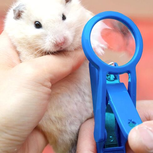 Alfie Pet - Roni Nail Clipper for Guinea Pig, Rabbit, Hamster, Bandit, Ferret, Mouse - Color: Blue in Kuwait