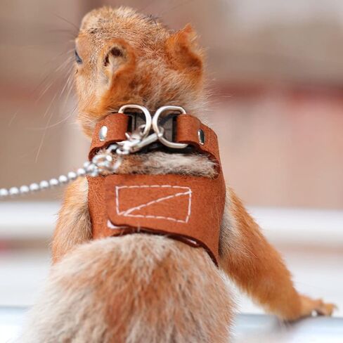 3 Pack Squirrel Harness and Leash Set - Adjustable Traction Rope Strap Anti-Biting Chain,Small Animal Training Walking Vest Leash for Squirrel Gerbil Chinchilla Rat (3 Pack (S/M/L),Brown) in Saudi Arabia