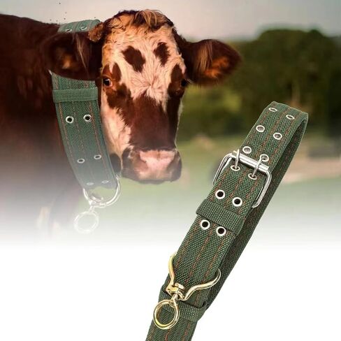 49.6 Inch Cow Collar, Adjustable Four-Layer Nylon Thickened Cattle Halter for Show - Heavy Duty Cattle Show Collar with Metal Buckle and Traction Chain, Ideal for Horse, Sheep, Dog, Camel in Saudi Arabia