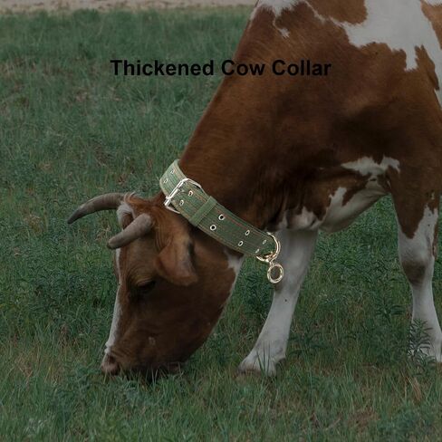 49.6 Inch Cow Collar, Adjustable Four-Layer Nylon Thickened Cattle Halter for Show - Heavy Duty Cattle Show Collar with Metal Buckle and Traction Chain, Ideal for Horse, Sheep, Dog, Camel in Saudi Arabia