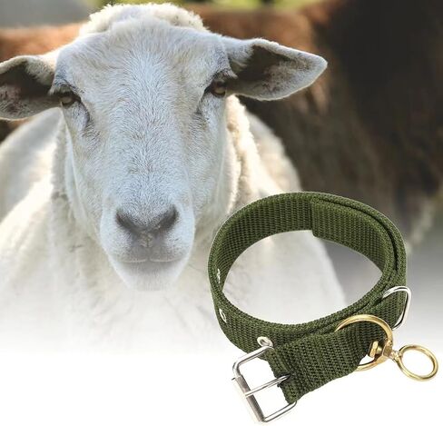 49.6 Inch Cow Collar, Adjustable Four-Layer Nylon Thickened Cattle Halter for Show - Heavy Duty Cattle Show Collar with Metal Buckle and Traction Chain, Ideal for Horse, Sheep, Dog, Camel in Saudi Arabia