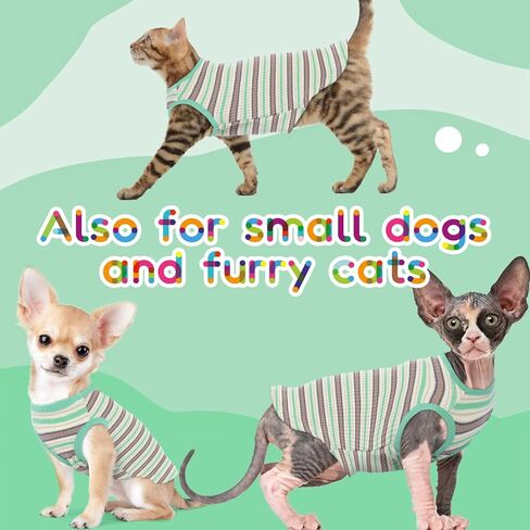 ملابس قطط Sphynx بدون شعر، سترات Sphynx للقطط بدون أكمام، سترة قطط، قمصان قطط للقطط فقط، قمصان قطط مخططة، قمصان مسامية، ملابس قطط، بدلة بيجامة للقطط، الكلاب الصغيرة in Kuwait