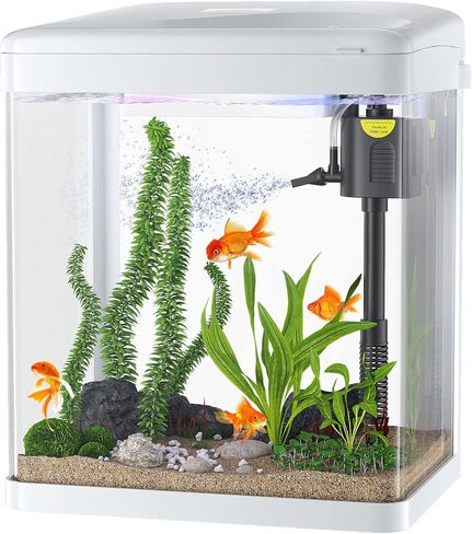 PONDON Betta Fish Tank, 2 Gallon Glass Aquarium, 3 in 1 Fish Tank with Filter and Light, Desktop Small Fish Tank for Betta Fish, Shrimp, Goldfish (White) in Saudi Arabia