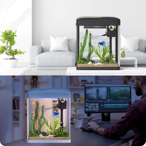 PONDON Betta Fish Tank, 2 Gallon Glass Aquarium, 3 in 1 Fish Tank with Filter and Light, Desktop Small Fish Tank for Betta Fish, Shrimp, Goldfish (White) in Saudi Arabia