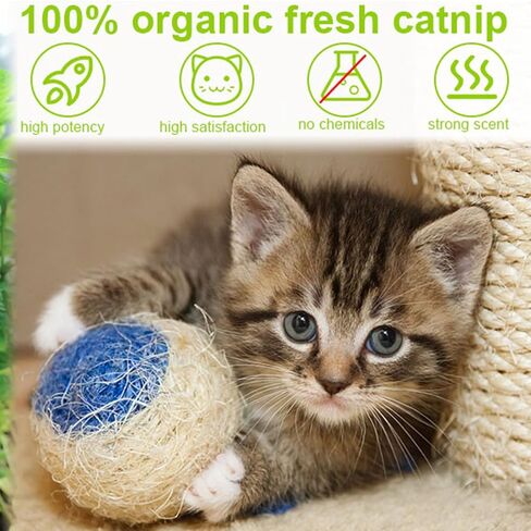 Fanxbox 2PCS Catnip Spray, Catnip Mist Spray, Joycat Spray, Herbal Cat Joy Spray, Catnip Spray for Indoor Cats in Saudi Arabia