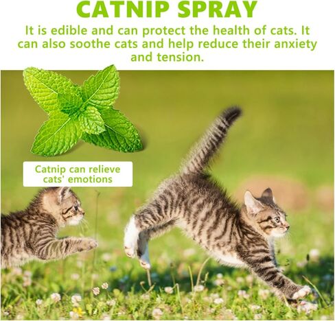 Fanxbox 2PCS Catnip Spray, Catnip Mist Spray, Joycat Spray, Herbal Cat Joy Spray, Catnip Spray for Indoor Cats in Saudi Arabia