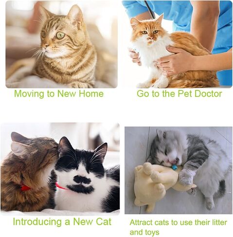 Fanxbox 2PCS Catnip Spray, Catnip Mist Spray, Joycat Spray, Herbal Cat Joy Spray, Catnip Spray for Indoor Cats in Saudi Arabia