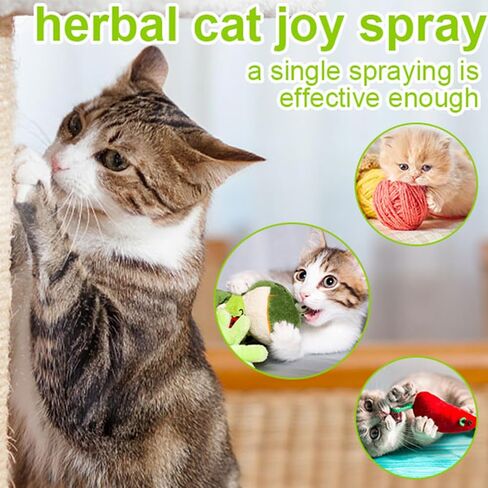 Fanxbox 2PCS Catnip Spray, Catnip Mist Spray, Joycat Spray, Herbal Cat Joy Spray, Catnip Spray for Indoor Cats in Saudi Arabia